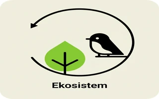 Kelime görseli